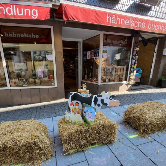 h&auml;hnelsche buchhandlung